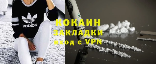 меф Няндома