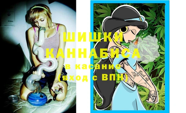 меф Няндома