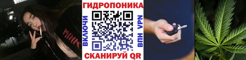 Бошки марихуана сатива  Купить закладки  Кукмор 